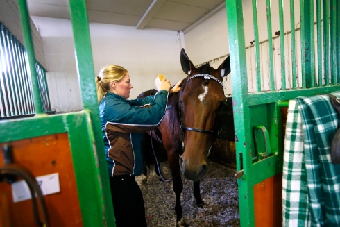 Jennie Ek gör i ordning Who's Who inför ett lopp på Solvalla. Foto: Maria Holmén, TR Bild Foto av Maria Holmén, TR Bild